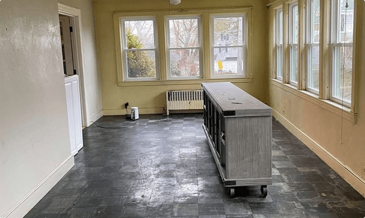 painting and renovation services