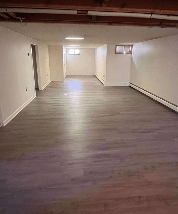 painting and renovation services